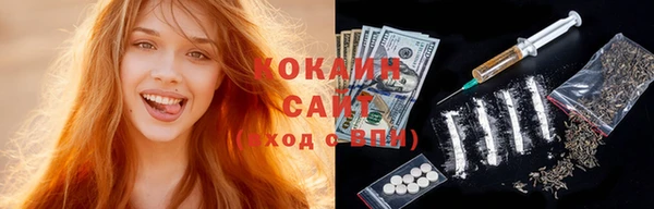 дмт Лиски