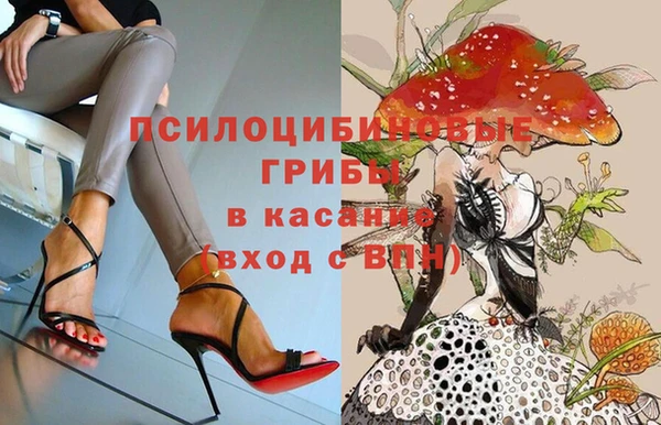 спиды Липки