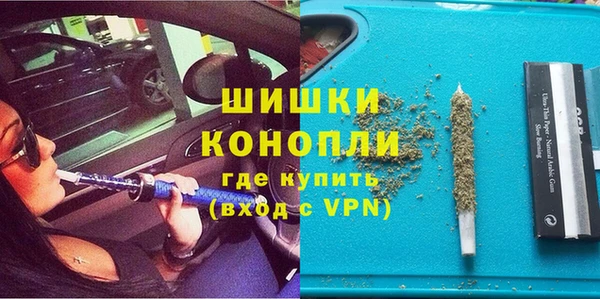 дмт Лиски