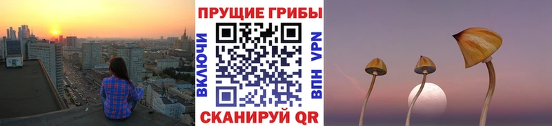Псилоцибиновые грибы прущие грибы  дарнет шоп  Шуя 